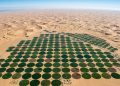 Foto da NASA tirada a 420 km de altitude revela um "milagre verde" no meio do deserto