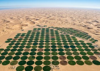 Foto da NASA tirada a 420 km de altitude revela um "milagre verde" no meio do deserto