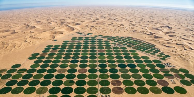 Foto da NASA tirada a 420 km de altitude revela um "milagre verde" no meio do deserto
