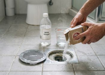 Como acabar com mau cheiro no ralo do banheiro que volta todos os dias e deixar o ambiente com cheiro de limpeza