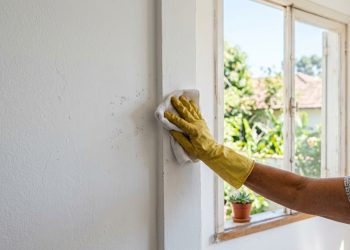 Antimofo caseiro: receitas e o que ajudam a evitar o mofo nos ambientes da casa