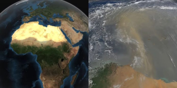 Pesquisas da NASA confirmam que as tempestades de areia do deserto do Saara carregam toneladas de fósforo pelo ar, que podem ter sido essenciais para fertilizar a floresta Amazônica por milênios