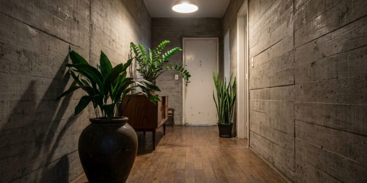 Você já desistiu de decorar o corredor porque ele é escuro e parece que nada sobrevive ali?