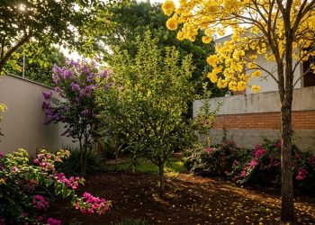 Cinco árvores que podem ser plantadas em casa sem danificar a fundação e deixam o jardim mais bonito