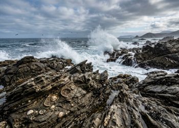 O Mar do Norte do Chile começou seu resfriamento definitivo há três milhões de anos