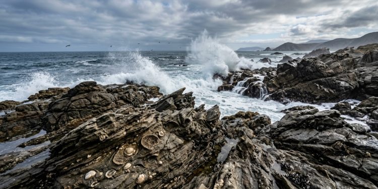 O Mar do Norte do Chile começou seu resfriamento definitivo há três milhões de anos