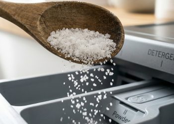 Adiciona sal de cozinha ao sabão em pó: por que donas de casa usam e recomendam esse truque
