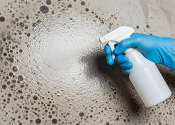 Como eliminar mofo da parede de forma simples e fazer o ambiente parecer renovado sem gastar muito