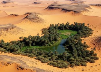 Imagem feita por astronauta mostra um oásis raro com quase 10 mil anos de história no deserto da Arábia Saudíta