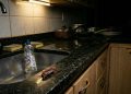 Qual valor cobra um profissional de dedetização para eliminar baratas que aparecem à noite na cozinha