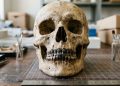 Dentes brancos nem sempre foram sinal de beleza: quando escurecer o sorriso também esteve na moda