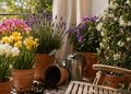4 flores ideais para plantar em maio: elas encherão o jardim de fragrância e cor