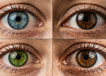 Olhos castanhos, azuis ou verdes: o que a psicologia diz sobre a personalidade associada a cada cor?