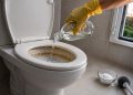 Encanadores britânicos recomendam despejar isso no vaso sanitário para remover o calcário dos cantos e frestas
