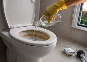 Encanadores britânicos recomendam despejar isso no vaso sanitário para remover o calcário dos cantos e frestas