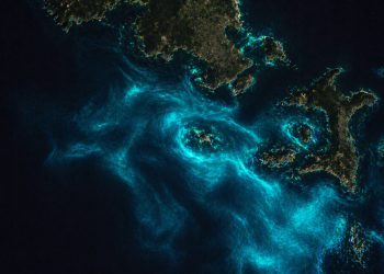 Satélite da NASA flagra "mar brilhando" na costa da Nova Zelândia e revela fenômeno que pode ameaçar baleias