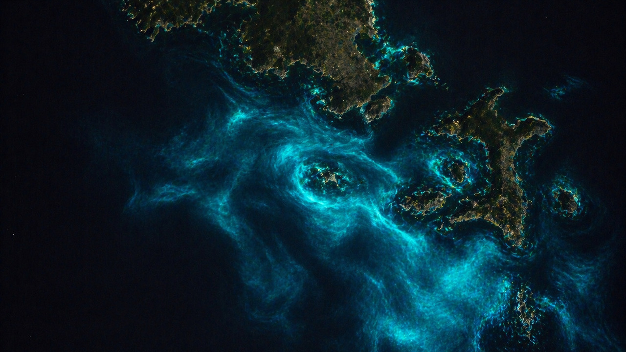⚠️mar⚠️ Satélite da NASA flagra 