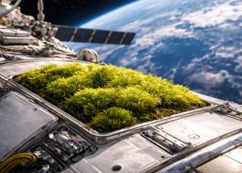 Pesquisadores colaram musgo na parte externa da Estação Espacial Internacional (ISS) por 283 dias e isso aconteceu