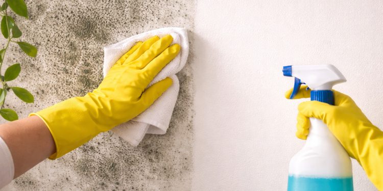 O truque simples e barato que encanadores usam para apagar manchas de umidade em 24h sem quebrar nenhuma parede