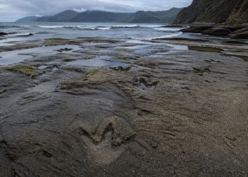 Pegadas de dinossauro descobertas em rocha de 132 milhões de anos escondidas sob o mar