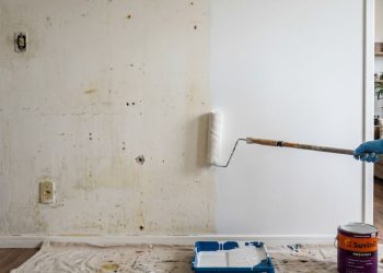 Repintura sem manchas e sem escorridos: cuidados que fazem a repintura ficar mais profissional