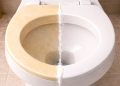 Essa mistura caseira rápida e simples consegue tirar o amarelado do assento do vaso sanitário em minutos