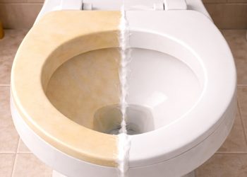 Essa mistura caseira rápida e simples consegue tirar o amarelado do assento do vaso sanitário em minutos