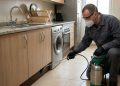 Quanto custa contratar dedetização para eliminar baratas que aparecem à noite na cozinha