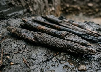 Cientistas encontram ferramentas de madeira de 430 mil anos, as mais antigas já descobertas no planeta