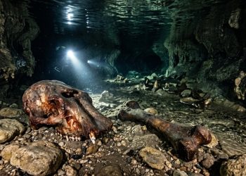Uma caverna inundada no Texas revelou um verdadeiro “mundo perdido” da Era do Gelo