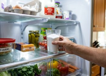 Colocar um copo de bicarbonato dentro da geladeira: um truque simples, mas eficaz, para se livrar de um problema doméstico