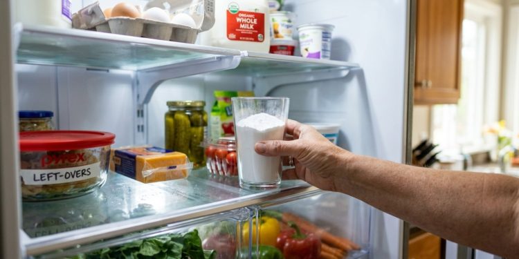 Colocar um copo de bicarbonato dentro da geladeira: um truque simples, mas eficaz, para se livrar de um problema doméstico