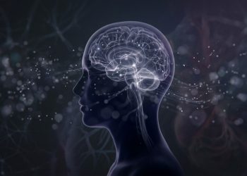 Segundo um renomado neurocientista, a consciência pode não ser criada pelo cérebro humano