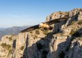 O animal ameaçado que voltou a nascer livre na Espanha após mais de um século longe das montanhas ibéricas
