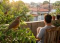 Segundo a ciência, o canto dos pássaros funciona como um remédio para o cérebro