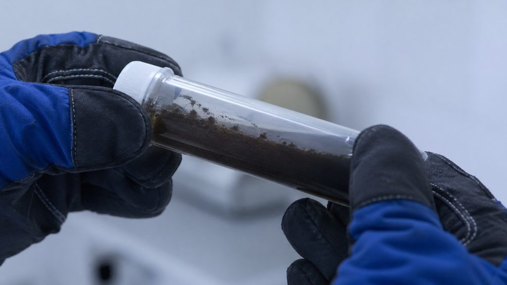 Amostras coletadas do subsolo gelado mostram sinais de vida microscópica adaptada ao isolamento.