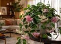 Nem costela-de-adão, nem orquídea, nem samambaia: esta planta colorida e perfumada promete virar o destaque da sua casa