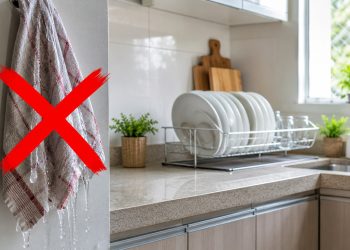 Adeus ao pano de prato encharcado: o método japonês de secar louça que está chegando às casas brasileiras
