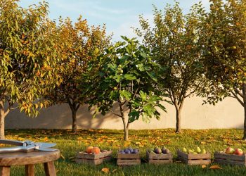 Estas são as únicas árvores frutíferas que devem ser podadas em maio