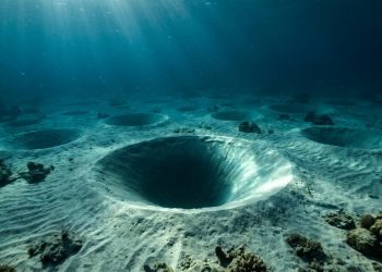 As crateras perfeitas no fundo do oceano que pareciam vazamentos de gás, mas escondiam uma história mais complexa