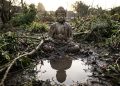 Buda, uma das figuras espirituais mais influentes da história, disse: “A dor é inevitável, mas o sofrimento é opcional”