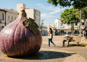 Capital do Figo Roxo e 1ª no ranking nacional de segurança: a cidade de 132 mil moradores que cresce com qualidade de vida muito alta a 1 hora de São Paulo