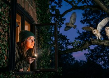 Por que as corujas se aproximam das casas à noite?