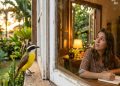 O que significa quando um bem-te-vi aparece sempre no mesmo horário na sua casa, segundo a ciência e a tradição