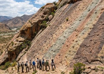 Mais de 18 mil pegadas fossilizadas revelam um dos cenários mais inacreditáveis já encontrados por paleontólogos