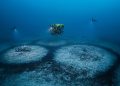 O que são os círculos gigantes encontrados no fundo do Mediterrâneo