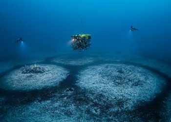 O que são os círculos gigantes encontrados no fundo do Mediterrâneo