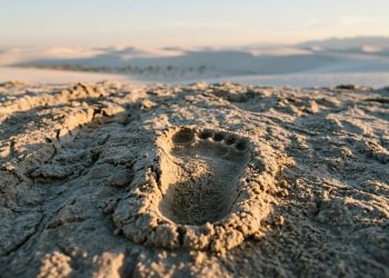 Pegadas fossilizadas de 23 mil anos no White Sands