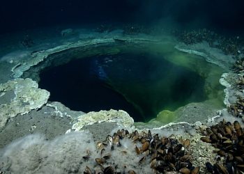 O lago mortal no fundo do Golfo do México que parece água comum, mas mumifica criaturas marinhas em silêncio