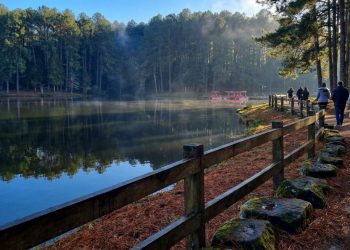 Eleita o 3º melhor destino da América do Sul: a cidade sem semáforos e com clima europeu, onde um lago que surgiu de uma área queimada se tornou o melhor destino do Brasil mais de 10 vezes